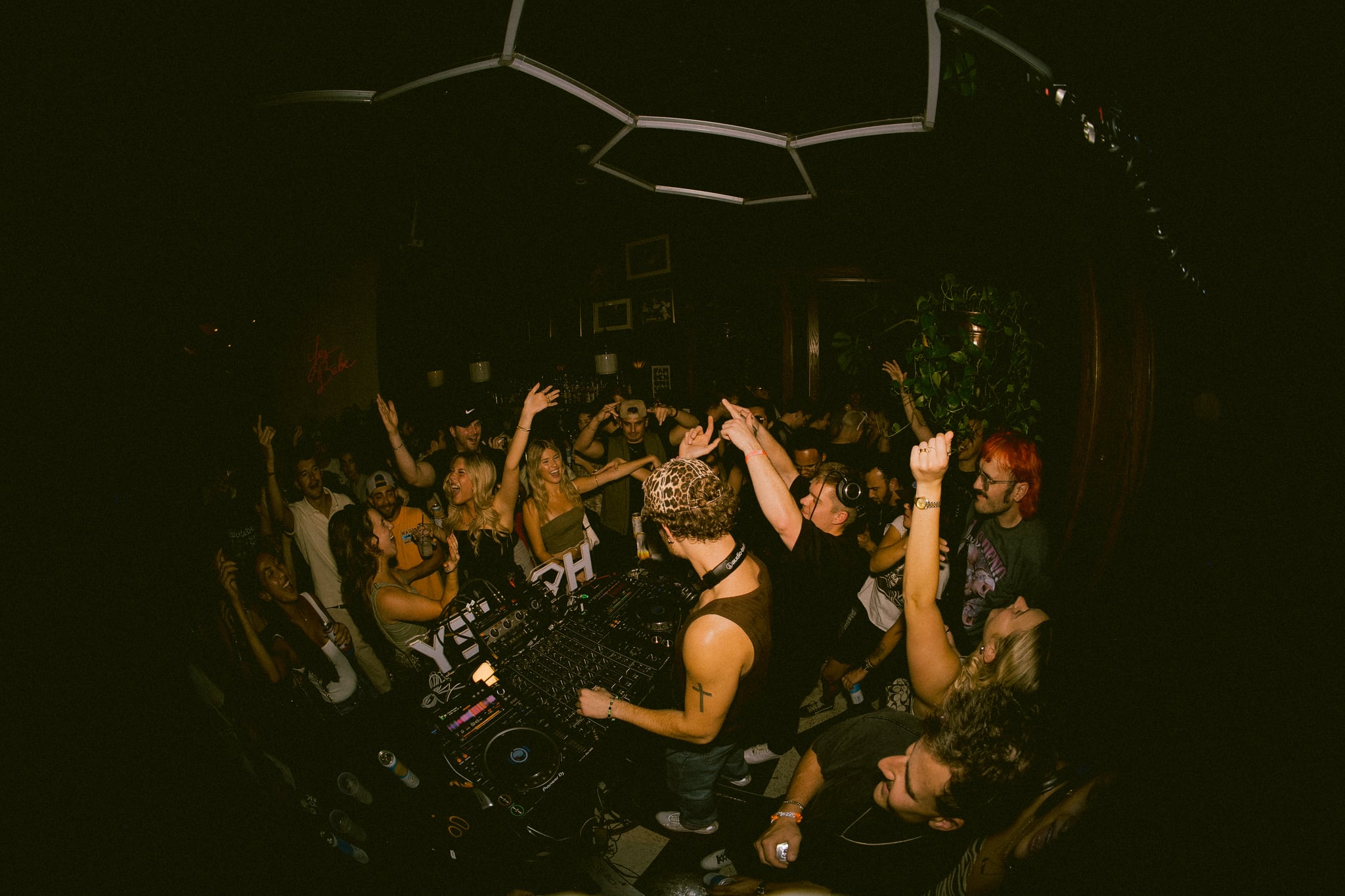 Honey Group Background